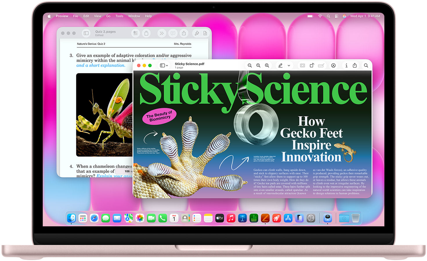 MacBook Neo (256GB - 512GB)